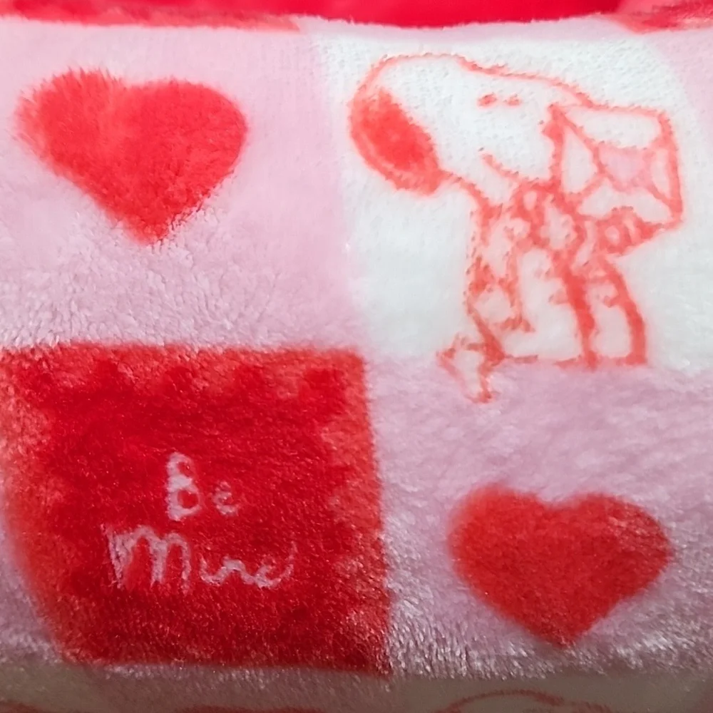Peanuts Charlie Brown Snoopy Valentine's Day Cat Dog Pet Bed Red & Pink New
